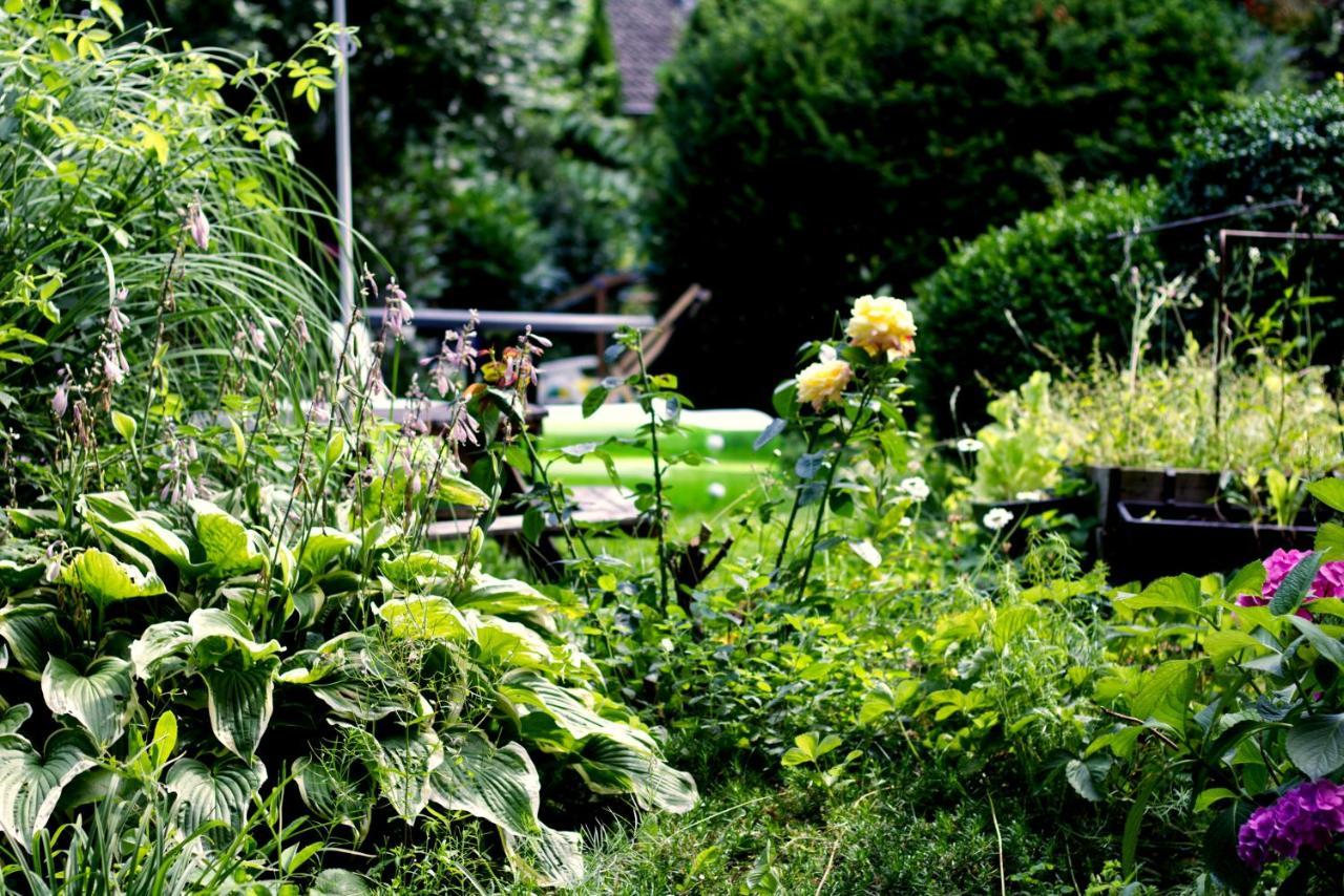 Souterrainwohnung Mit Grossem Garten Und Sauna Kassel Exterior photo